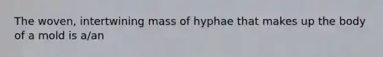 The woven, intertwining mass of hyphae that makes up the body of a mold is a/an