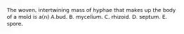 The woven, intertwining mass of hyphae that makes up the body of a mold is a(n) A.bud. B. mycelium. C. rhizoid. D. septum. E. spore.