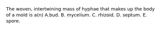 The woven, intertwining mass of hyphae that makes up the body of a mold is a(n) A.bud. B. mycelium. C. rhizoid. D. septum. E. spore.