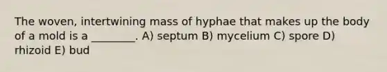 The woven, intertwining mass of hyphae that makes up the body of a mold is a ________. A) septum B) mycelium C) spore D) rhizoid E) bud