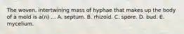 The woven, intertwining mass of hyphae that makes up the body of a mold is a(n) ... A. septum. B. rhizoid. C. spore. D. bud. E. mycelium.