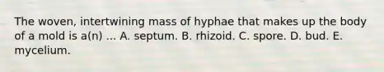 The woven, intertwining mass of hyphae that makes up the body of a mold is a(n) ... A. septum. B. rhizoid. C. spore. D. bud. E. mycelium.