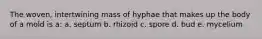 The woven, intertwining mass of hyphae that makes up the body of a mold is a: a. septum b. rhizoid c. spore d. bud e. mycelium