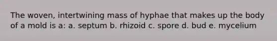 The woven, intertwining mass of hyphae that makes up the body of a mold is a: a. septum b. rhizoid c. spore d. bud e. mycelium