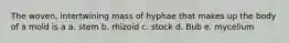 The woven, intertwining mass of hyphae that makes up the body of a mold is a a. stem b. rhizoid c. stock d. Bub e. mycelium