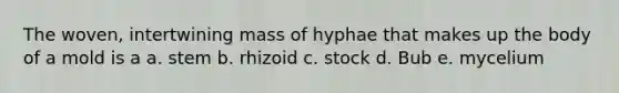 The woven, intertwining mass of hyphae that makes up the body of a mold is a a. stem b. rhizoid c. stock d. Bub e. mycelium