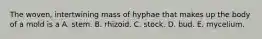 The woven, intertwining mass of hyphae that makes up the body of a mold is a A. stem. B. rhizoid. C. stock. D. bud. E. mycelium.