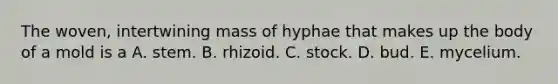 The woven, intertwining mass of hyphae that makes up the body of a mold is a A. stem. B. rhizoid. C. stock. D. bud. E. mycelium.