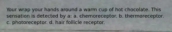 Your wrap your hands around a warm cup of hot chocolate. This sensation is detected by a: a. chemoreceptor. b. thermoreceptor. c. photoreceptor. d. hair follicle receptor.