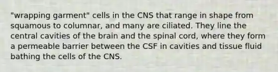 "wrapping garment" cells in the CNS that range in shape from squamous to columnar, and many are ciliated. They line the central cavities of <a href='https://www.questionai.com/knowledge/kLMtJeqKp6-the-brain' class='anchor-knowledge'>the brain</a> and <a href='https://www.questionai.com/knowledge/kkAfzcJHuZ-the-spinal-cord' class='anchor-knowledge'>the spinal cord</a>, where they form a permeable barrier between the CSF in cavities and tissue fluid bathing the cells of the CNS.