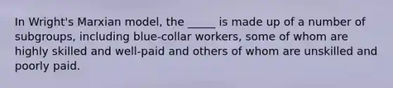 In Wright's Marxian model, the _____ is made up of a number of subgroups, including blue-collar workers, some of whom are highly skilled and well-paid and others of whom are unskilled and poorly paid.