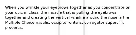 When you wrinkle your eyebrows together as you concentrate on your quiz in class, the muscle that is pulling the eyebrows together and creating the vertical wrinkle around the nose is the Multiple Choice nasalis. occipitofrontalis. corrugator supercilii. procerus.