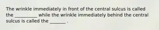 The wrinkle immediately in front of the central sulcus is called the __________ while the wrinkle immediately behind the central sulcus is called the _______ .