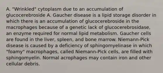 A. "Wrinkled" cytoplasm due to an accumulation of glucocerebroside A. Gaucher disease is a lipid storage disorder in which there is an accumulation of glucocerebroside in the macrophages because of a genetic lack of glucocerebrosidase, an enzyme required for normal lipid metabolism. Gaucher cells are found in the liver, spleen, and bone marrow. Niemann-Pick disease is caused by a deficiency of sphingomyelinase in which "foamy" macrophages, called Niemann-Pick cells, are filled with sphingomyelin. Normal acrophages may contain iron and other cellular debris.