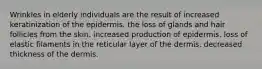 Wrinkles in elderly individuals are the result of increased keratinization of the epidermis. the loss of glands and hair follicles from the skin. increased production of epidermis. loss of elastic filaments in the reticular layer of the dermis. decreased thickness of the dermis.