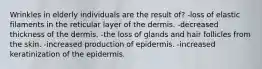 Wrinkles in elderly individuals are the result of? -loss of elastic filaments in the reticular layer of the dermis. -decreased thickness of the dermis. -the loss of glands and hair follicles from the skin. -increased production of epidermis. -increased keratinization of the epidermis.