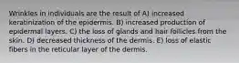 Wrinkles in individuals are the result of A) increased keratinization of the epidermis. B) increased production of epidermal layers. C) the loss of glands and hair follicles from the skin. D) decreased thickness of the dermis. E) loss of elastic fibers in the reticular layer of the dermis.