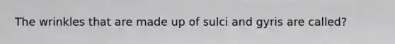 The wrinkles that are made up of sulci and gyris are called?