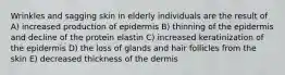 Wrinkles and sagging skin in elderly individuals are the result of A) increased production of epidermis B) thinning of the epidermis and decline of the protein elastin C) increased keratinization of the epidermis D) the loss of glands and hair follicles from the skin E) decreased thickness of the dermis