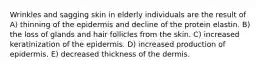 Wrinkles and sagging skin in elderly individuals are the result of A) thinning of the epidermis and decline of the protein elastin. B) the loss of glands and hair follicles from the skin. C) increased keratinization of the epidermis. D) increased production of epidermis. E) decreased thickness of the dermis.