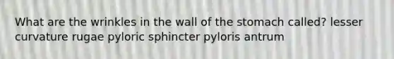 What are the wrinkles in the wall of the stomach called? lesser curvature rugae pyloric sphincter pyloris antrum