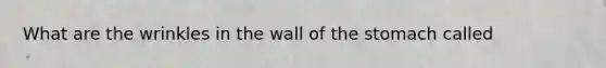 What are the wrinkles in the wall of the stomach called