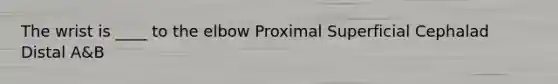 The wrist is ____ to the elbow Proximal Superficial Cephalad Distal A&B