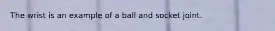 The wrist is an example of a ball and socket joint.