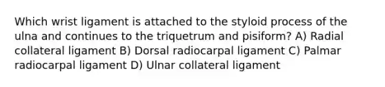 Which wrist ligament is attached to the styloid process of the ulna and continues to the triquetrum and pisiform? A) Radial collateral ligament B) Dorsal radiocarpal ligament C) Palmar radiocarpal ligament D) Ulnar collateral ligament