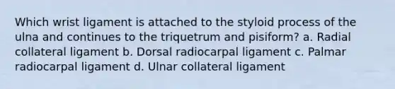 Which wrist ligament is attached to the styloid process of the ulna and continues to the triquetrum and pisiform? a. Radial collateral ligament b. Dorsal radiocarpal ligament c. Palmar radiocarpal ligament d. Ulnar collateral ligament