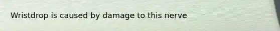 Wristdrop is caused by damage to this nerve