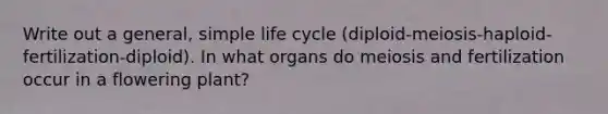 Write out a general, simple life cycle (diploid-meiosis-haploid-fertilization-diploid). In what organs do meiosis and fertilization occur in a flowering plant?