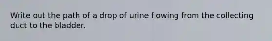 Write out the path of a drop of urine flowing from the collecting duct to the bladder.