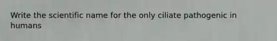 Write the scientific name for the only ciliate pathogenic in humans
