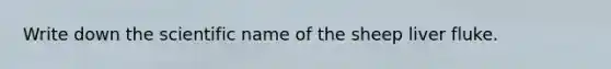 Write down the scientific name of the sheep liver fluke.