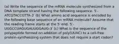 (a) Write the sequence of the mRNA molecule synthesized from a DNA template strand having the following sequence. 5′-ATCGTACCGTTA-3′ (b) What amino acid sequence is encoded by the following base sequence of an mRNA molecule? Assume that the reading frame starts at the 5′ end. 5′-UUGCCUAGUGAUUGGAUG-3′ (c) What is the sequence of the polypeptide formed on addition of poly(UUAC) to a cell-free protein-synthesizing system that does not require a start codon?