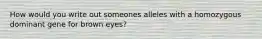 How would you write out someones alleles with a homozygous dominant gene for brown eyes?