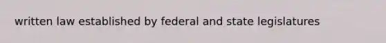 written law established by federal and state legislatures