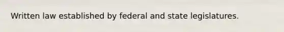 Written law established by federal and state legislatures.