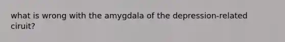 what is wrong with the amygdala of the depression-related ciruit?