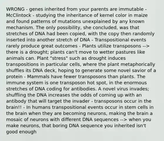 WRONG - genes inherited from your parents are immutable - McClintock - studying the inheritance of kernel color in maize and found patterns of mutations unexplained by any known mechanism. The only possibility, she concluded, was that stretches of DNA had been copied, with the copy then randomly inserted into another stretch of DNA - Transpositional events rarely produce great outcomes - Plants utilize transposons --> there is a drought; plants can't move to wetter pastures like animals can. Plant "stress" such as drought induces transpositions in particular cells, where the plant metaphorically shuffles its DNA deck, hoping to generate some novel savior of a protein - Mammals have fewer transposons than plants. The immune system is one transposon hot spot, in the enormous stretches of DNA coding for antibodies. A novel virus invades; shuffling the DNA increases the odds of coming up with an antibody that will target the invader - transposons occur in the brain!! - In humans transpositional events occur in stem cells in the brain when they are becoming neurons, making the brain a mosaic of neurons with different DNA sequences --> when you make neurons, that boring DNA sequence you inherited isn't good enough