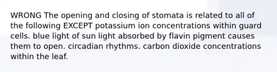 WRONG The opening and closing of stomata is related to all of the following EXCEPT potassium ion concentrations within guard cells. blue light of sun light absorbed by flavin pigment causes them to open. <a href='https://www.questionai.com/knowledge/k8XAG3VjEz-circadian-rhythms' class='anchor-knowledge'>circadian rhythms</a>. carbon dioxide concentrations within the leaf.