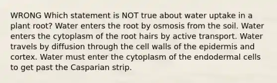 WRONG Which statement is NOT true about water uptake in a plant root? Water enters the root by osmosis from the soil. Water enters the cytoplasm of the root hairs by active transport. Water travels by diffusion through the cell walls of <a href='https://www.questionai.com/knowledge/kBFgQMpq6s-the-epidermis' class='anchor-knowledge'>the epidermis</a> and cortex. Water must enter the cytoplasm of the endodermal cells to get past the Casparian strip.