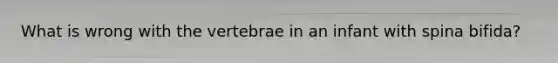 What is wrong with the vertebrae in an infant with spina bifida?