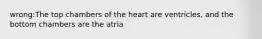 wrong:The top chambers of the heart are ventricles, and the bottom chambers are the atria