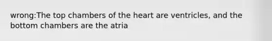 wrong:The top chambers of the heart are ventricles, and the bottom chambers are the atria