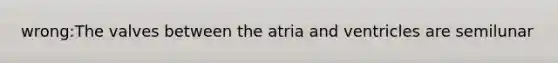 wrong:The valves between the atria and ventricles are semilunar