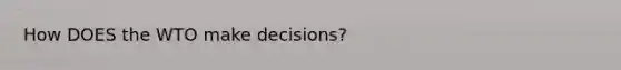 How DOES the WTO make decisions?