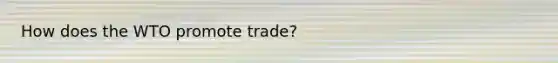 How does the WTO promote trade?