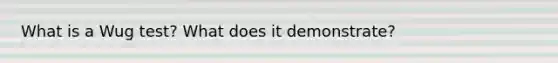 What is a Wug test? What does it demonstrate?